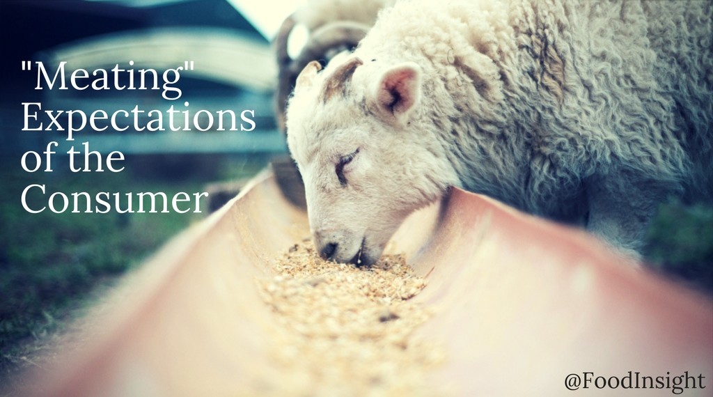 Meat-ing” consumer expectations of ethical animal welfare - United Egg  Producers